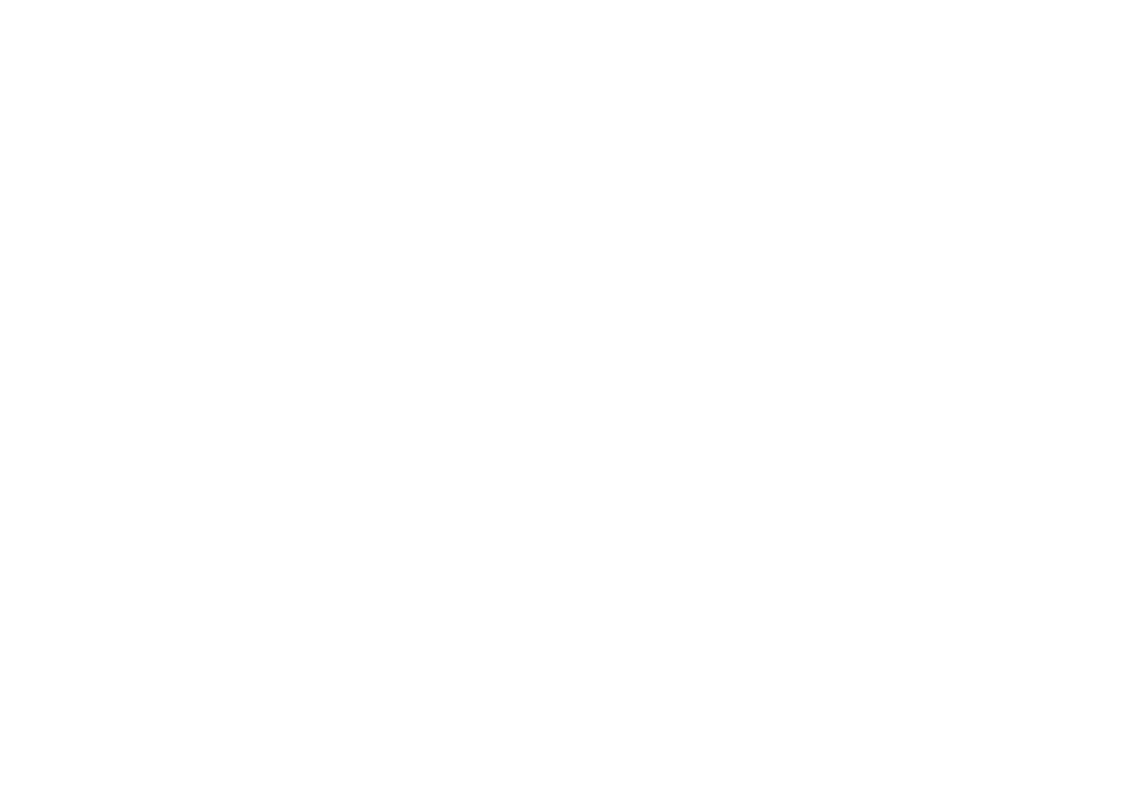 VenAmCham Visual Lines