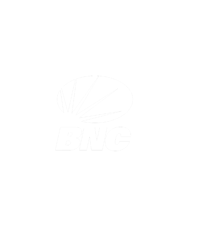 BANCO NACIONAL DE CRÉDITO