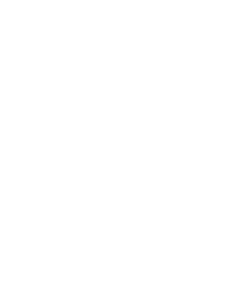 VICSON GRUPO AG